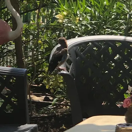 ゲストハウス Ivano