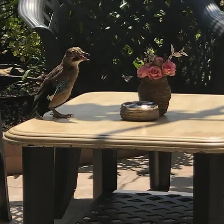 ゲストハウス Ivano 2*