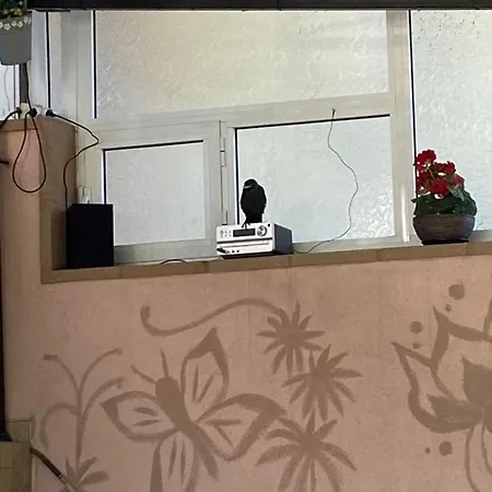 Ivano プリモルスコ