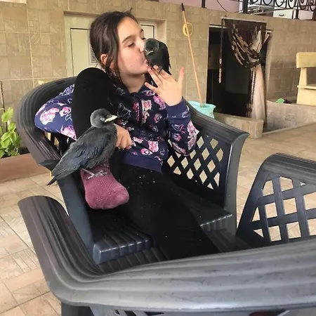 Casa de hóspedes Ivano 2*