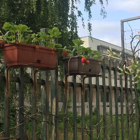 ивано Приморско