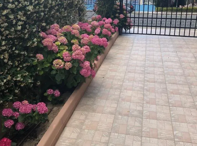 Pensjonat Ivano Primorsko